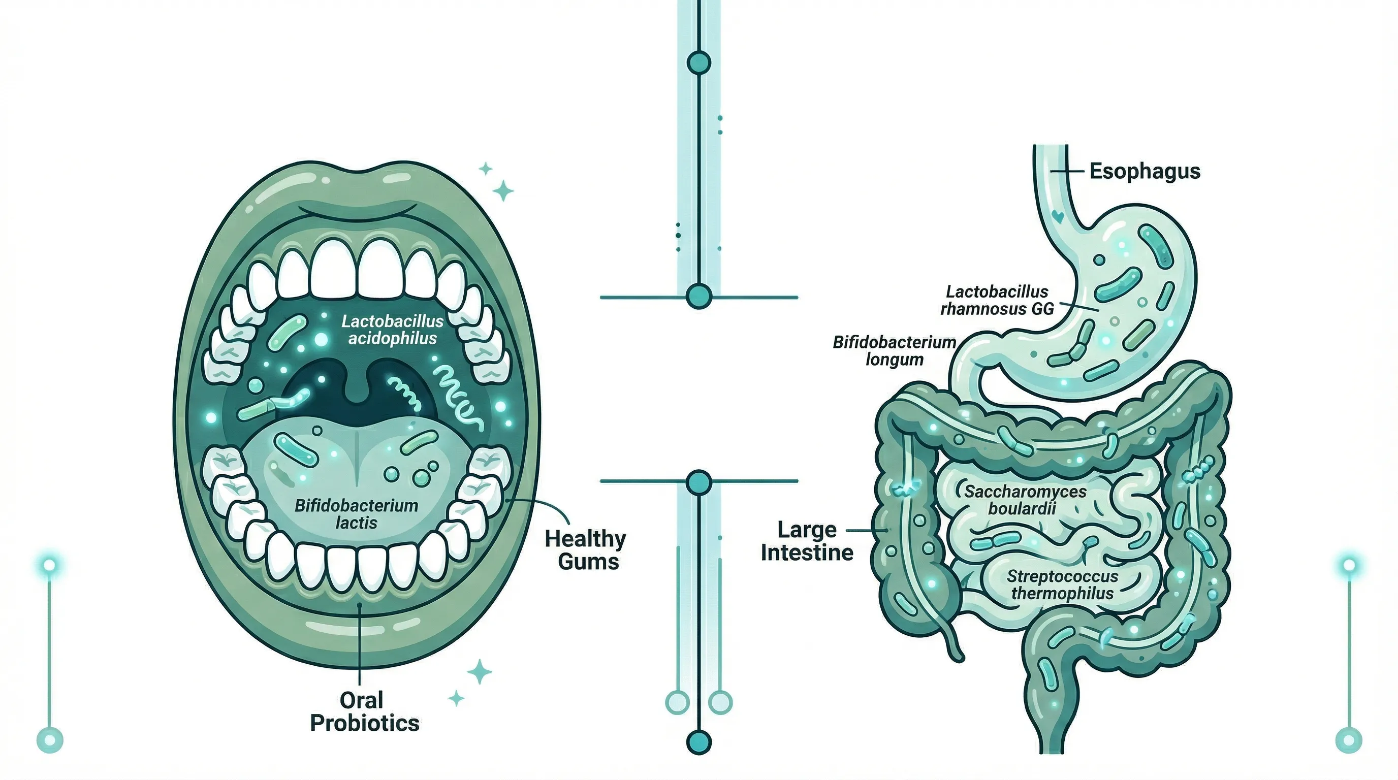 Side-by-side comparison of ProDentim and ProvaDent supplements